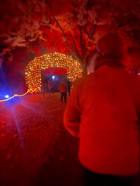 The lighting is red, a man stands facing away from the camera, looking at an arch made of jack-o-lanturns